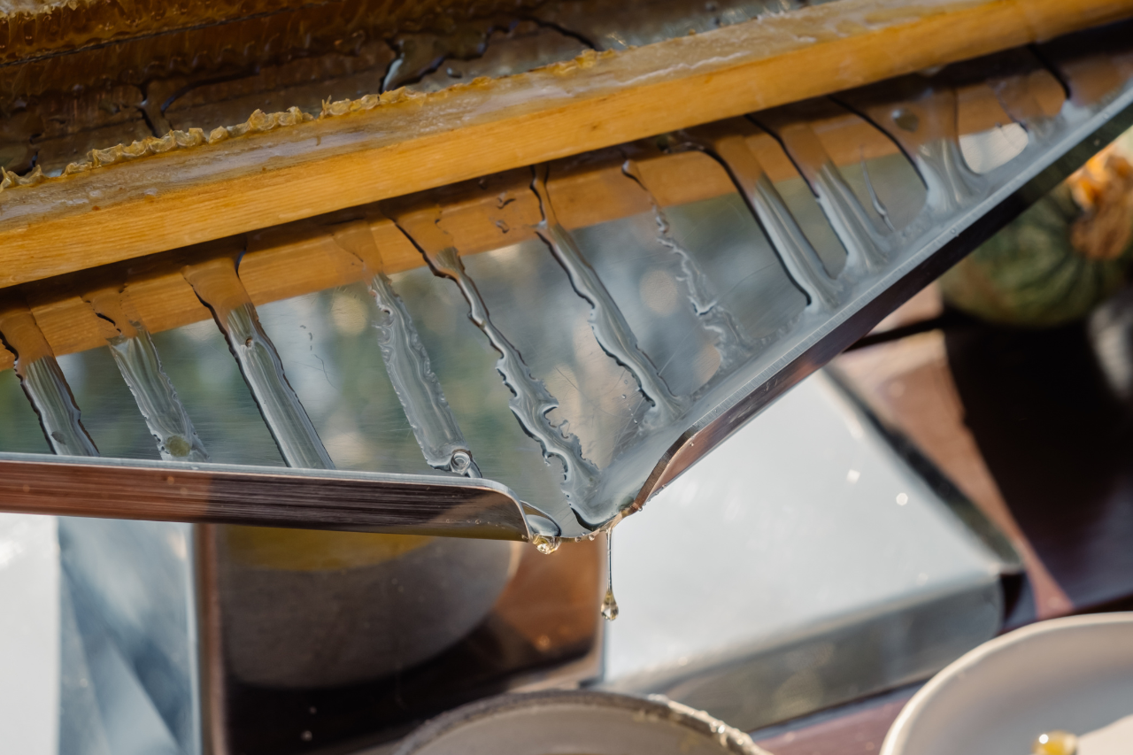 3_phaea_plan_bee_blue