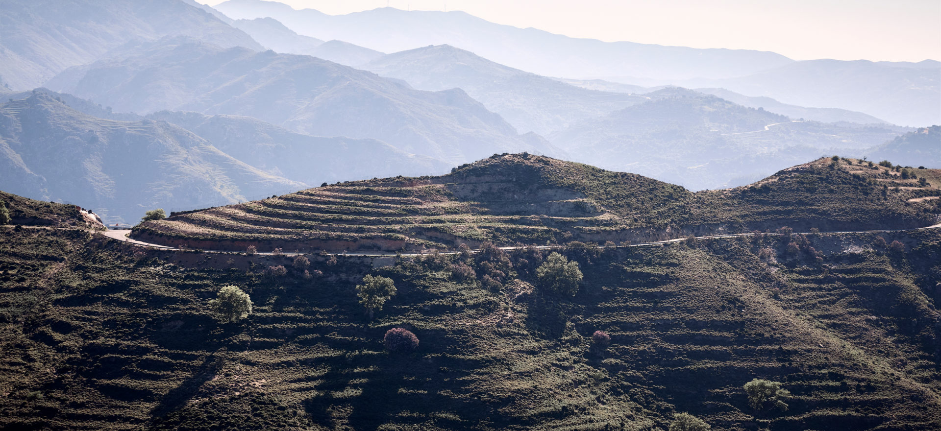 the_environment_phaea