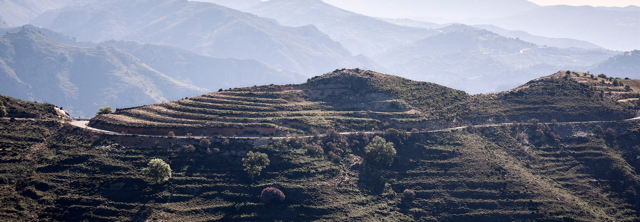 the_environment_phaea