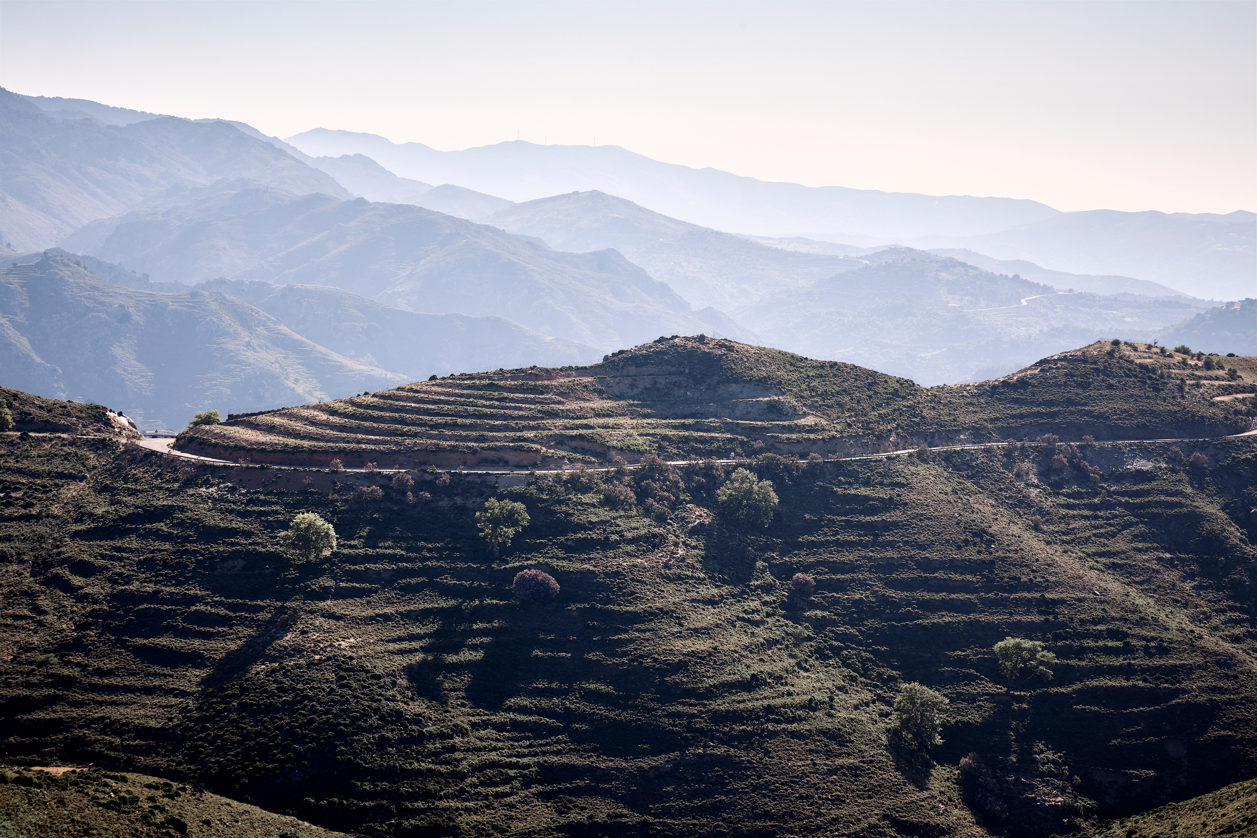 the_environment_phaea