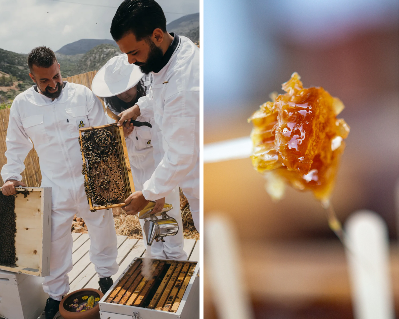 Untitled-design-15-aspect-ratio-1280-1024