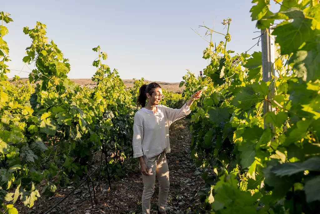 227 - Lyrarakis Winery