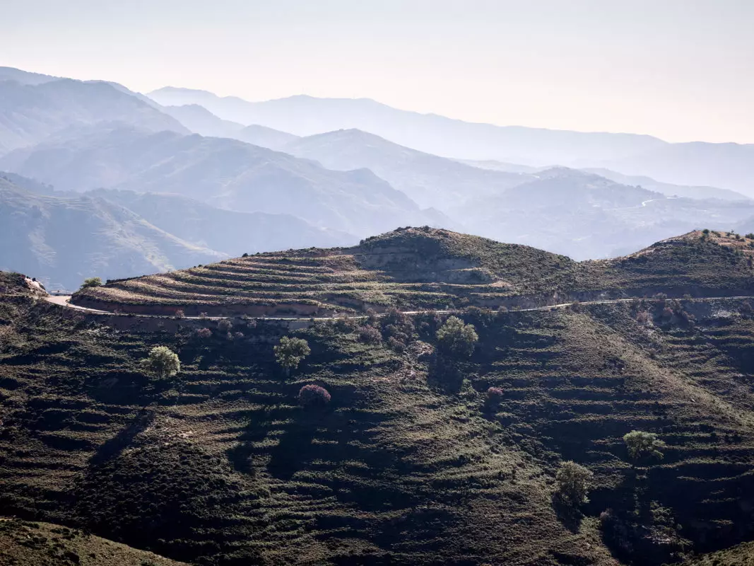 the_environment_phaea