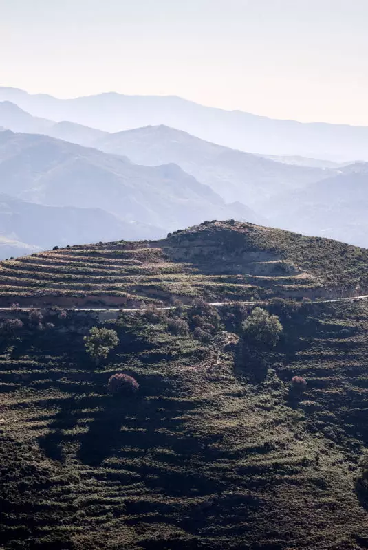 the_environment_phaea