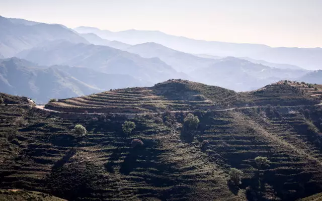 Sustainability Report