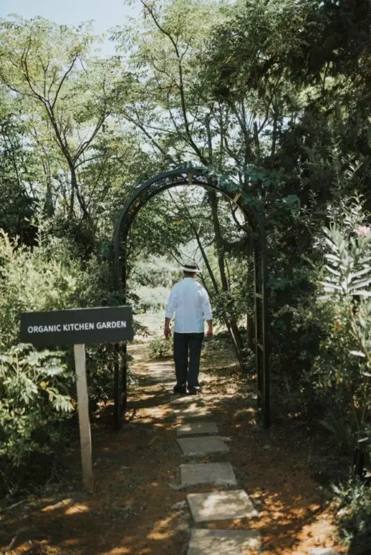 683 - Organic Kitchen Garden