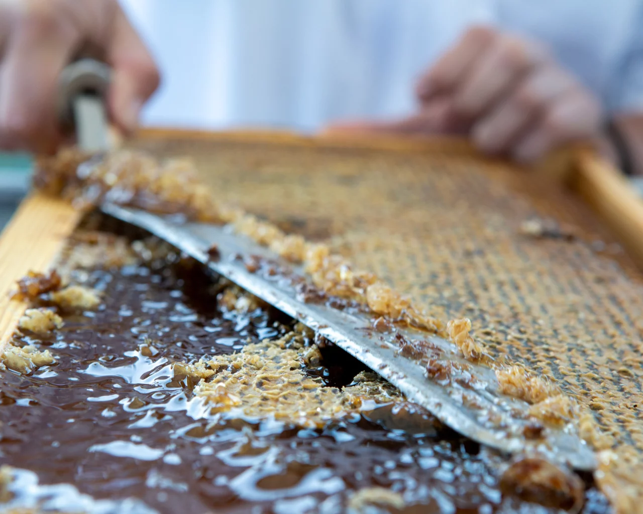 8-aspect-ratio-1280-1024