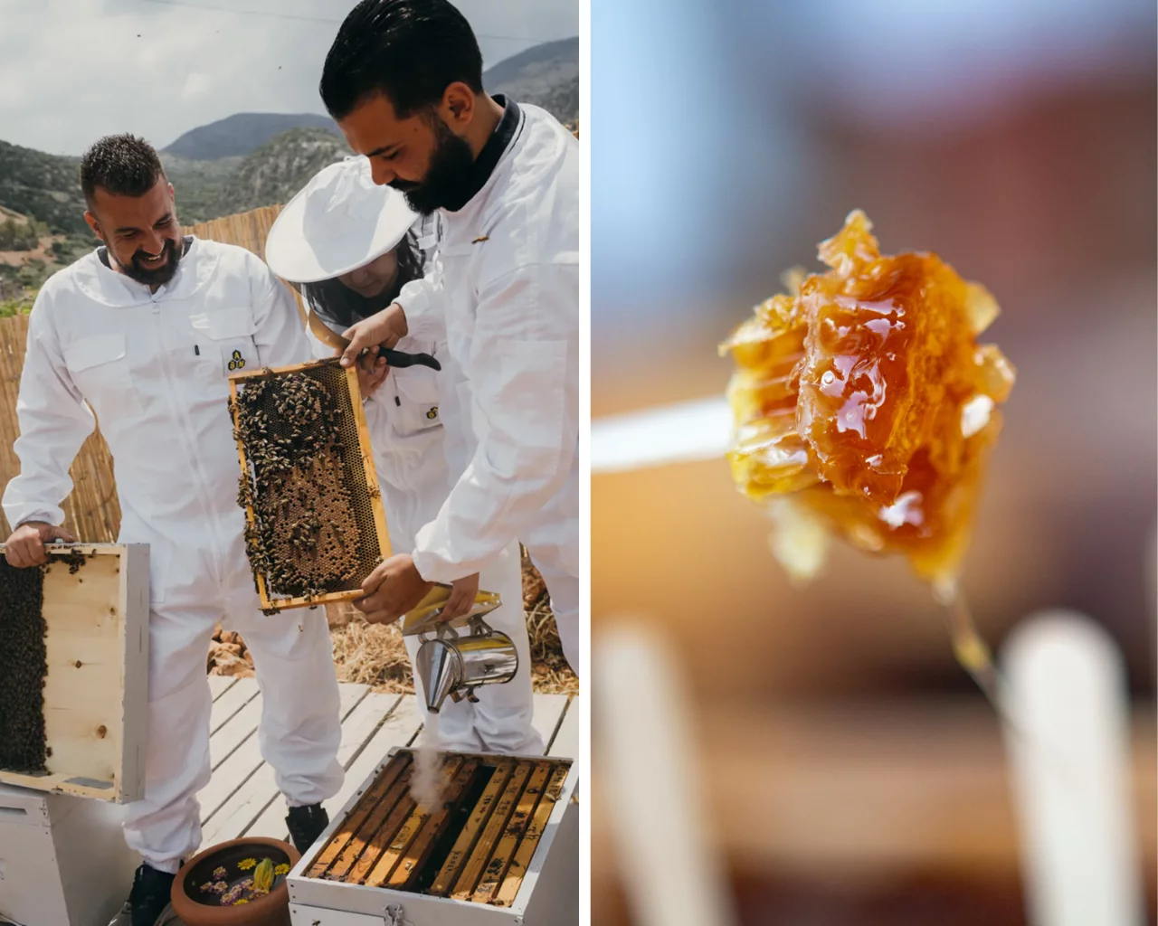 Untitled-design-15-aspect-ratio-1280-1024