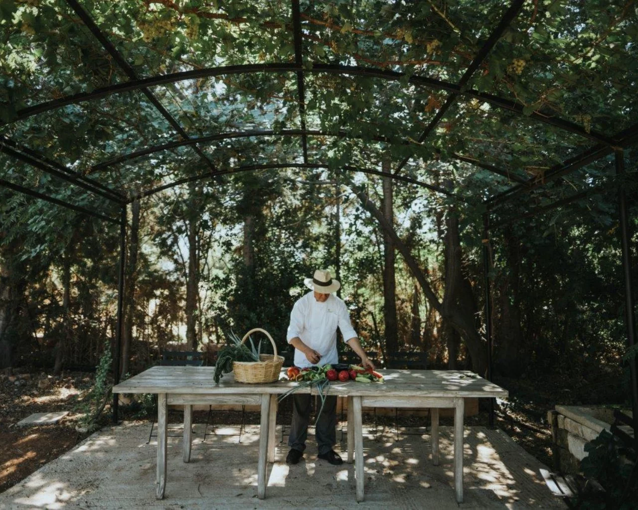 Untitled-design-2-5-aspect-ratio-1280-1024